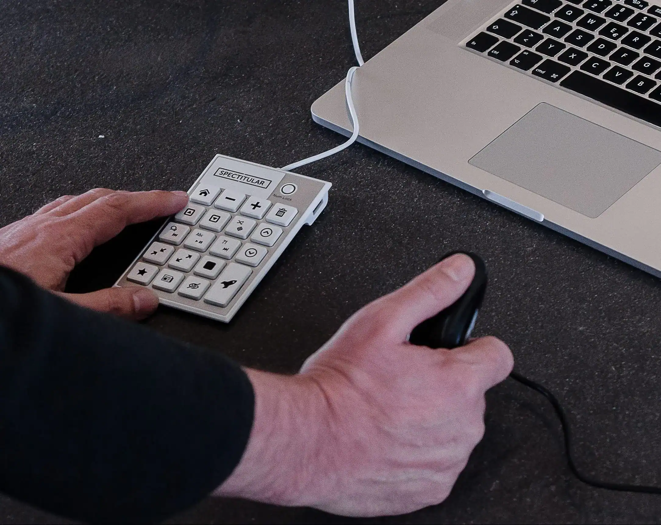 Panthea5155-e1568376710646